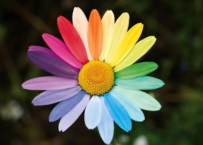 Apartman 2 Schlafzimmerwohnung Bei Frankfurt Am Main Heusenstamm